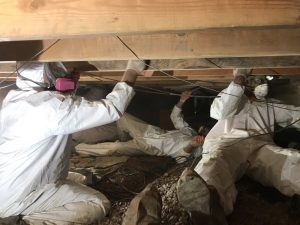 911 Restoration Mold Removal Marietta
